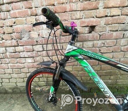 Phoenix Bicycle for sale