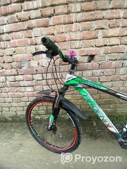 Phoenix Bicycle for sale