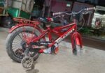 16 ntun cycle