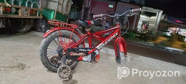 16 ntun cycle