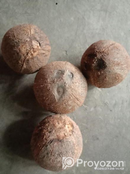 আমার নিজের গাছের পন্য