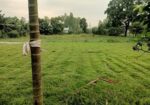 Agro Firm & Land Sale