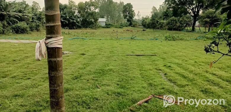 Agro Firm & Land Sale