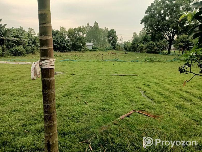 Agro Firm & Land Sale