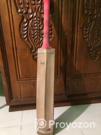 Cricket ball Bat