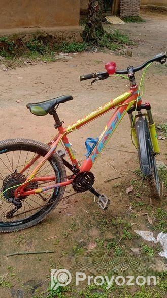Bicycle for sale