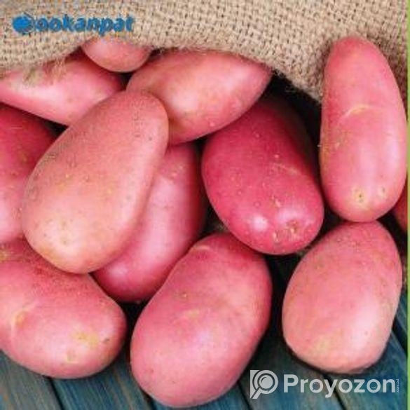 ফ্রেশ লাল আলু