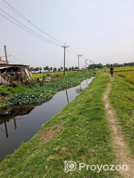 ২২ শতক ইপিজেডের দক্ষিণে জমি বিক্রি হবে