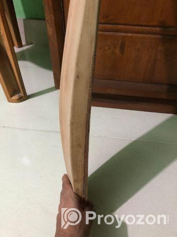 Cricket ball Bat