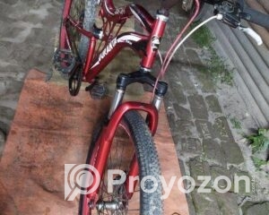 fitted-41_2025-09-28_10-03-20