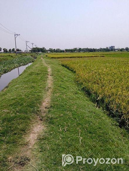 ২২ শতক ইপিজেডের দক্ষিণে জমি বিক্রি হবে