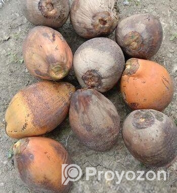 আমার নিজের গাছের পন্য