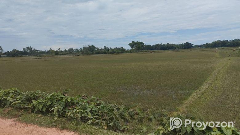 (৪০৫ শতক) জমি বিক্রয়