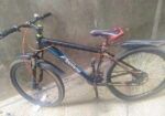 Bicycle for sale