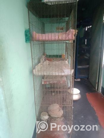 পাখির খাঁচা