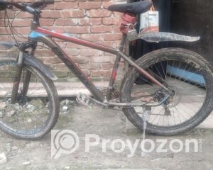 fitted-43_2025-09-04_10-29-36