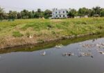 ২২ শতক ইপিজেডের দক্ষিণে জমি বিক্রি হবে
