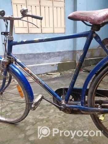 Bicycle for sell