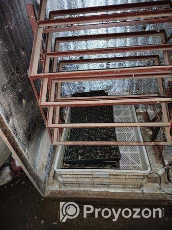 হ্যাচারি বাচ্চা ফুটে কারেন্টের মেশিন