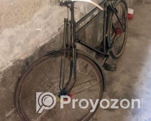 fitted-43_2025-09-27_10-23-54