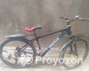 fitted-43_2025-09-28_11-16-37