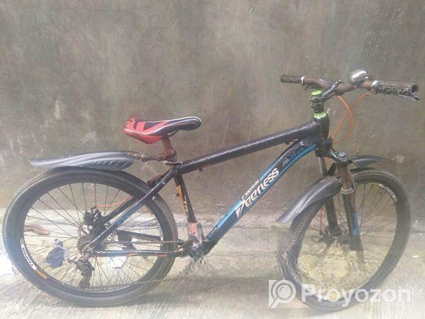 Bicycle for sale
