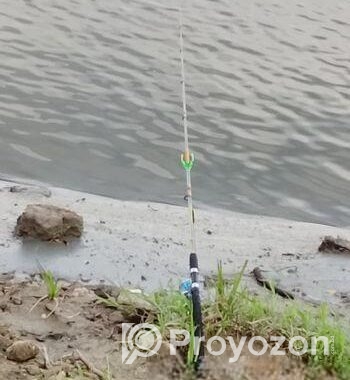Fishing Rod Rell