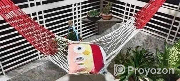 দোলনা/হ্যামক