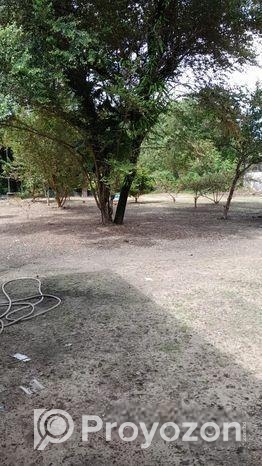 বাড়ি সহ জায়গা বিক্রি