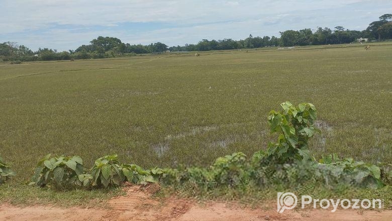 (৪০৫ শতক) জমি বিক্রয়