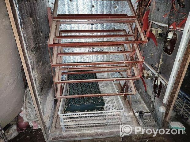 হ্যাচারি বাচ্চা ফুটে কারেন্টের মেশিন