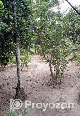 বাড়ি সহ জায়গা বিক্রি