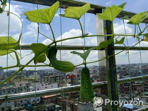 বিনিয়োগ করুন স্বল্প মেয়াদে