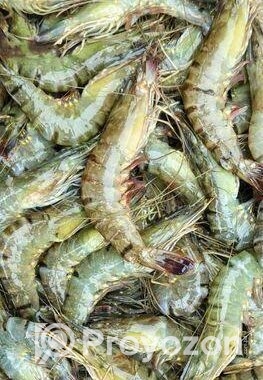 পিওর বাগদা চিংড়ি জেলি ফ্রি