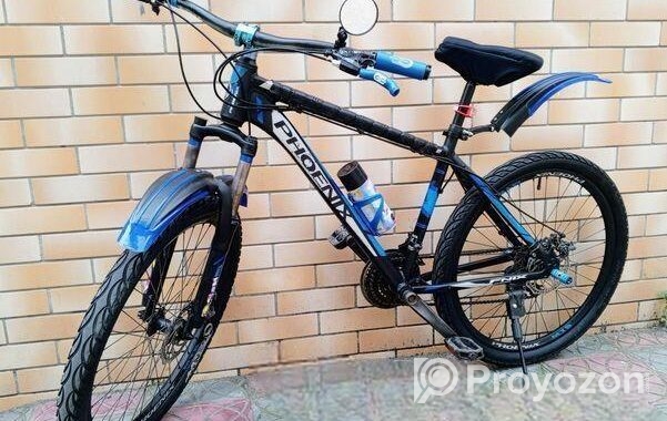 PHONEX GEAR CYCLE