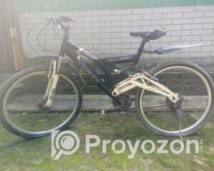 fitted-47_2025-09-14_10-45-06