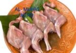 ড্রেসিং কোয়েল পাখি