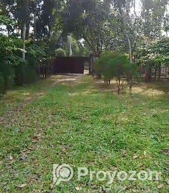 নরসিংদী জেলার ইটাখোলা এলাকাধীন ২০ বিঘা বাগান বাড়ির জমি বিক্রি হবে