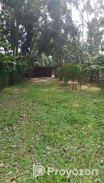 নরসিংদী জেলার ইটাখোলা এলাকাধীন ২০ বিঘা বাগান বাড়ির জমি বিক্রি হবে