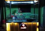 Food cart 2025