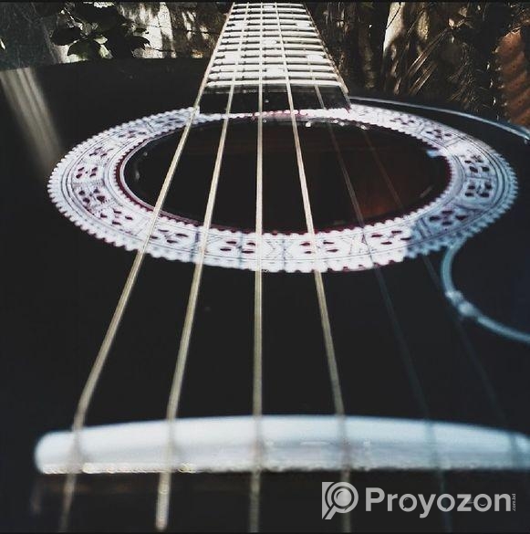 ফুল নতুন গিটার সেল হবে।