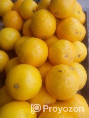 আপেলের জগৎ – স্বাস্থ্য আর স্বাদের নিশ্চয়তা”