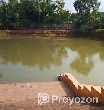 নরসিংদী জেলার ইটাখোলা এলাকাধীন ২০ বিঘা বাগান বাড়ির জমি বিক্রি হবে