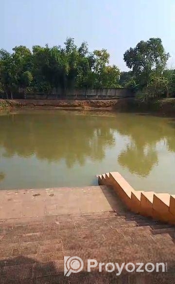 নরসিংদী জেলার ইটাখোলা এলাকাধীন ২০ বিঘা বাগান বাড়ির জমি বিক্রি হবে