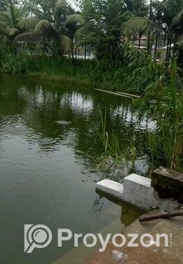 খামার সহ জমি বিক্রি হবে