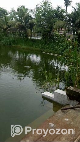 খামার সহ জমি বিক্রি হবে