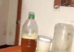 সুন্দরবনের খাটি মধু বিক্রি