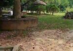 নরসিংদী জেলার ইটাখোলা এলাকাধীন ২০ বিঘা বাগান বাড়ির জমি বিক্রি হবে