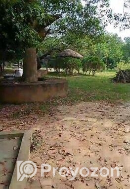 নরসিংদী জেলার ইটাখোলা এলাকাধীন ২০ বিঘা বাগান বাড়ির জমি বিক্রি হবে