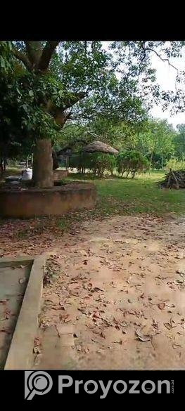 নরসিংদী জেলার ইটাখোলা এলাকাধীন ২০ বিঘা বাগান বাড়ির জমি বিক্রি হবে